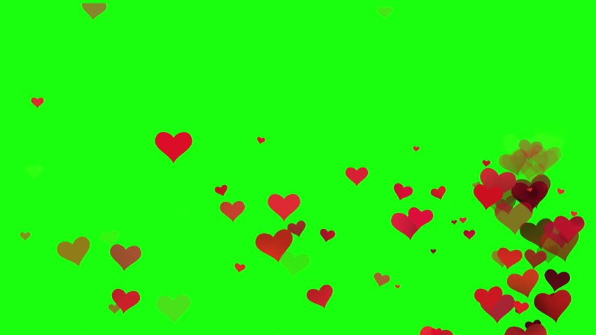 Hearts On Green Screen Stock Footage Video 100 Royalty Free