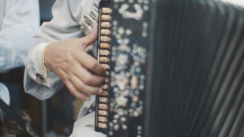 An adult man plays an accordion in a national costume. Musical quartet playing. Musicians perform at the concert. The musician plays the accordion. Street musicians