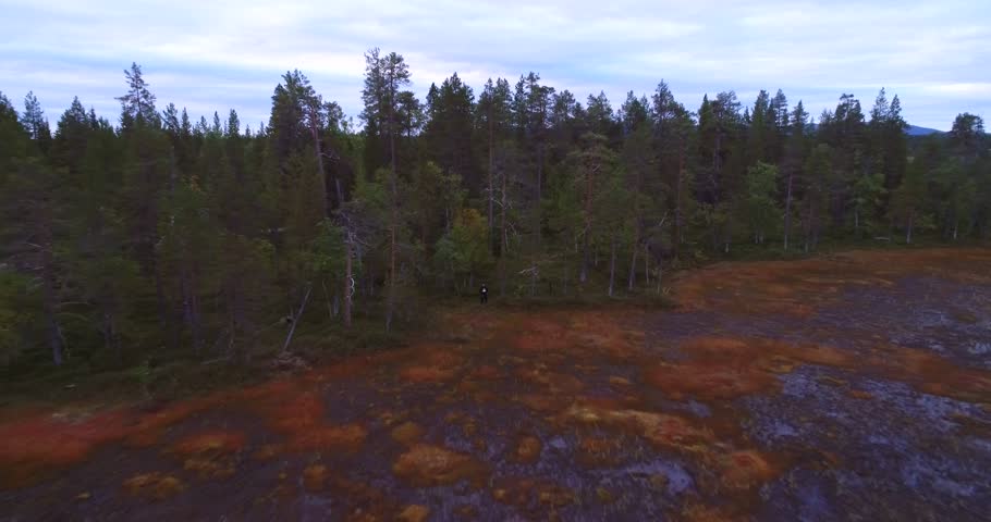 Swamp, Cinema 4k aerial rising backward view of a big wet bog, in lapland pyha-luosto national park, on a cloudy autumn day, in Lappi, Finland.