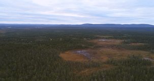 Swamp, Cinema 4k aerial decreasing view towards a big wet bog, in lapland pyha-luosto national park, on a cloudy autumn day, in Lappi, Finland.