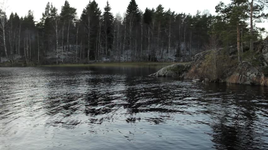 
stony shore of the lake with trees