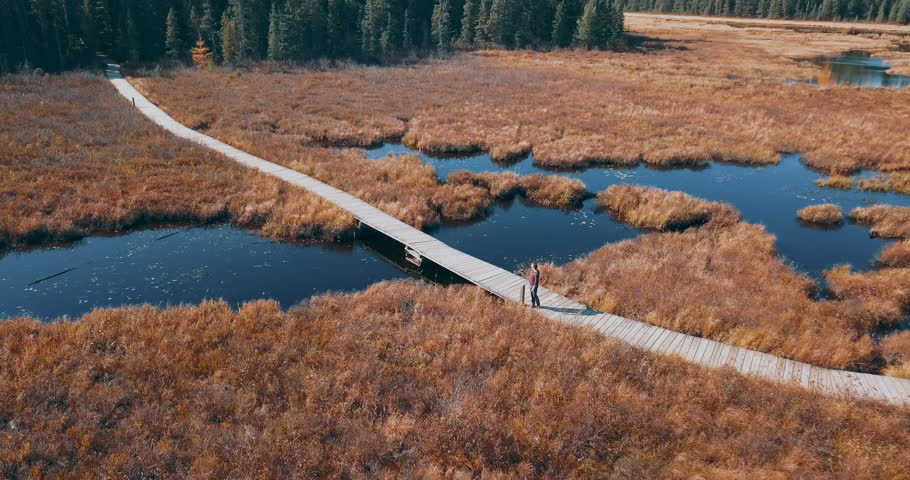 Drone aerial over Algonquin provincial park 
