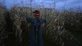 Scary scarecrow with pumpkin head in a hat on a cornfield in cloudy weather. Halloween concept - Powered by Shutterstock - Get 15% off with code: PIKWIZARD15