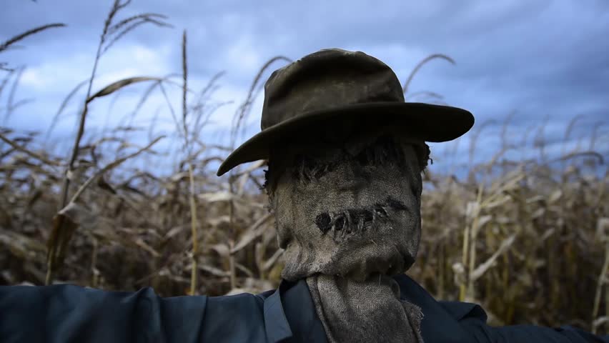 scary scarecrow hat