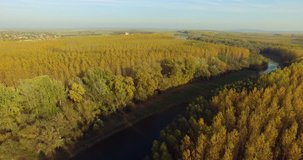 Aerial view of trees during autumn on sunny day in a forest near river – 4k Footage.