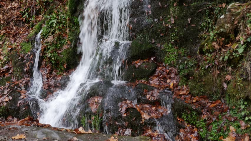 Waterfall in Great Smoky Mountains National Park