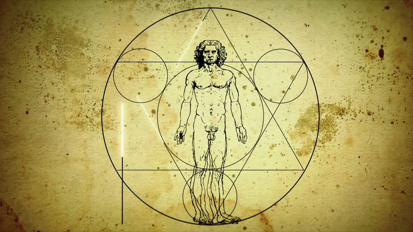 Animation Sketch Vitruvian Man By Leonardo Stock Footage Video Royalty Free