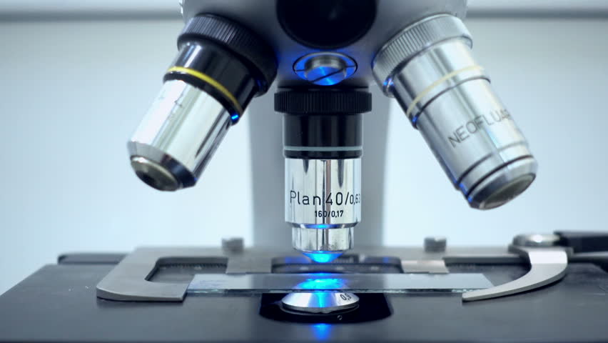 таргетный скрининг биотехнология. Hiv study. Steuer. пещера заралек карта. Key writings.