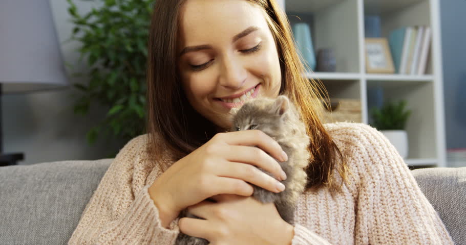 Charming young woman caressing a cute kitty-cat while sitting on the sofa. Portrait shot. Inside the cozy living room
