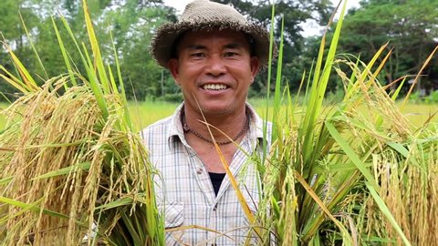 Happy Thai farmer smile after rice harvest in organic agriculture rice field farm in Chiang Mai, Thailand