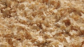 Slow pan over pile of wooden sawdust 4K 2160p 30fps UltraHD footage - Close-up wood cutting scobs 3840X2160 UHD panning video