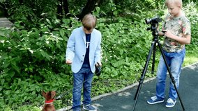 Young boy with video camera shoots film about dog in green park. Children outdoors in summer are creative work of cinema. Beautiful footage. Interesting to look at world in childhood.