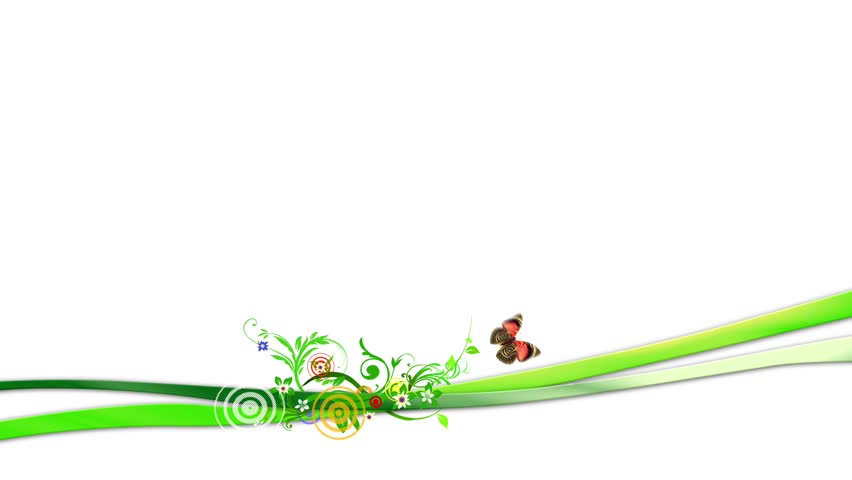 flying butterflies with spring animation on white background 2
