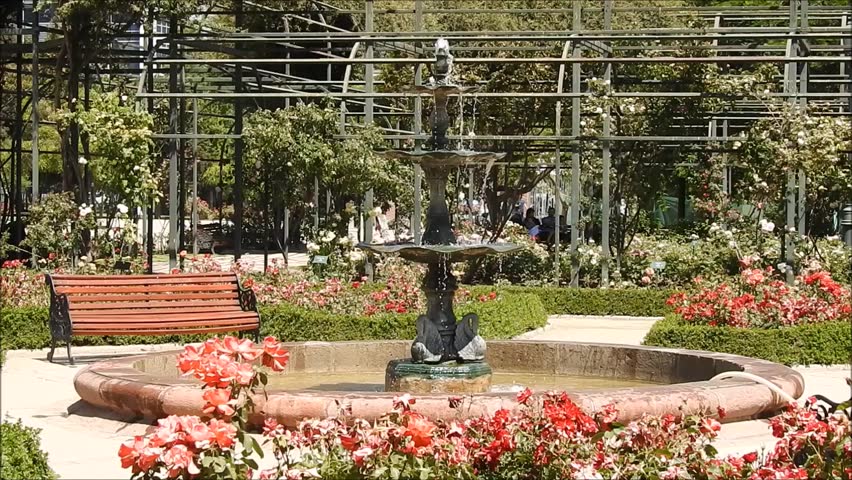 Birds playing on a fountain in Santiago, Chile