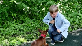 Young boy with dog in green park background slow motion. Children outdoors in summer are creative work of cinema. Beautiful footage. Interesting to look at world in childhood.