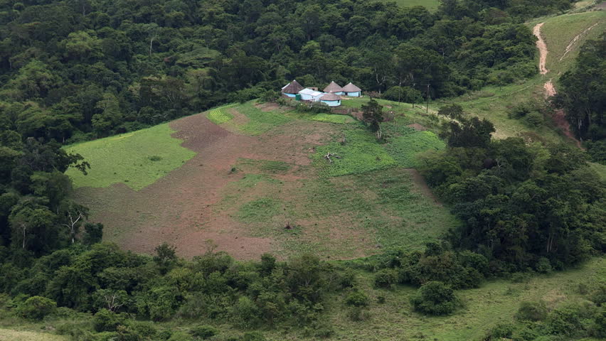 Xhosa huts on a hill in the middle of a forest in the Transkei.