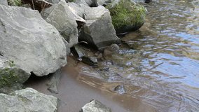 Some rocks and sand create a small beach feature in this freshwater river at a boat ramp. This video shot on a tripod could be a great background or abstract image since it is very simple and peaceful