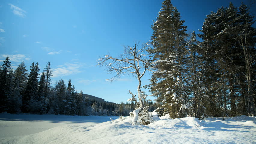 Winter landscape time lapse dolly shot