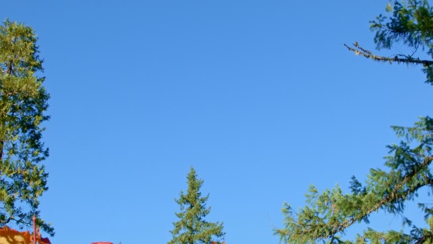 Vine maple fall and lava rock McKenzie River Valley Oregon