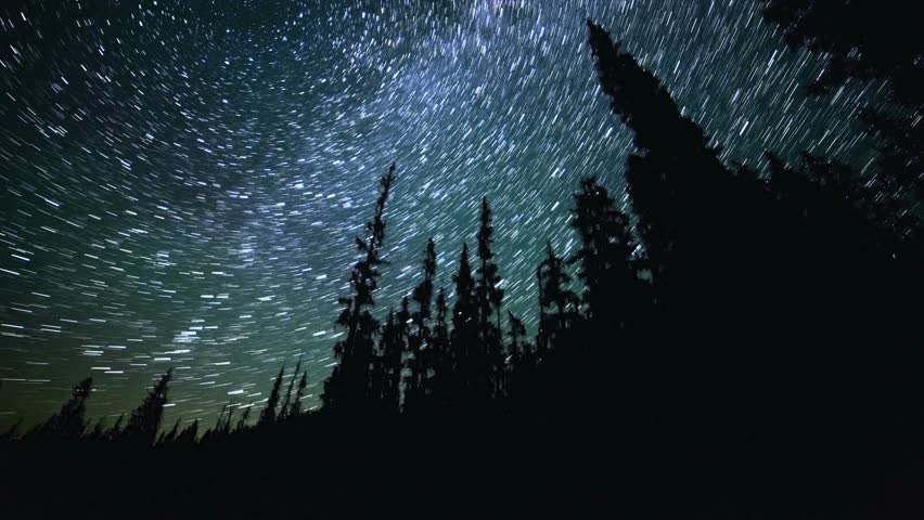 North Star over Forest on Mt. Hood Abstract Star Trails Night Time Lapse
