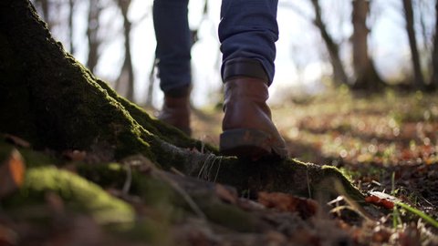 Suggestive shot of hiker man walking in the wood in the nature over a ground covered with musk and dry fallen leaves. Backlit, from the bottom.