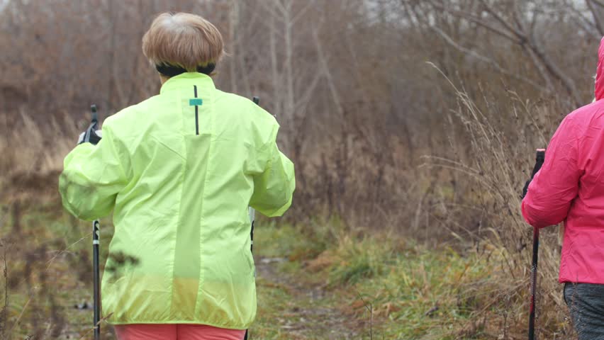 Nordic walking - sport for elderly woman in autumn park - modern healthy training, rear view