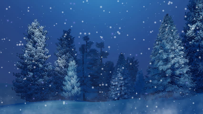 Peaceful winter scene with snow covered fir tree forest at magical snowfall night. Festive background for Christmas or New Year holidays in cinemagraph style rendered in 4K | Shutterstock HD Video #33173293