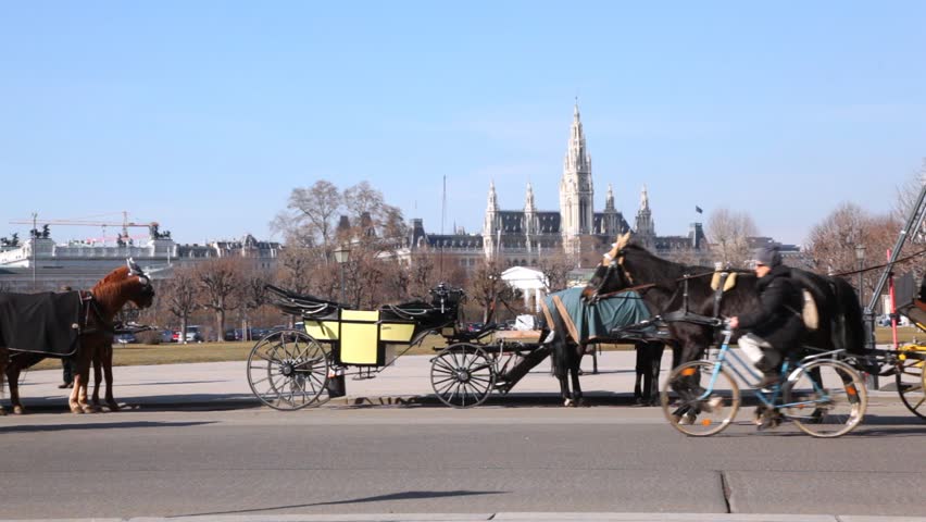 The carriages with horses moves on city center Vienna Austria