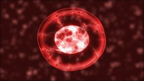 Human Cells 3d Animation Stock Footage Video (100% Royalty-free ...