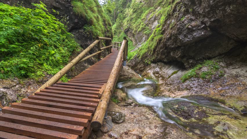 Mountain stream deep in the forest with wooden bridge 4k time lapse