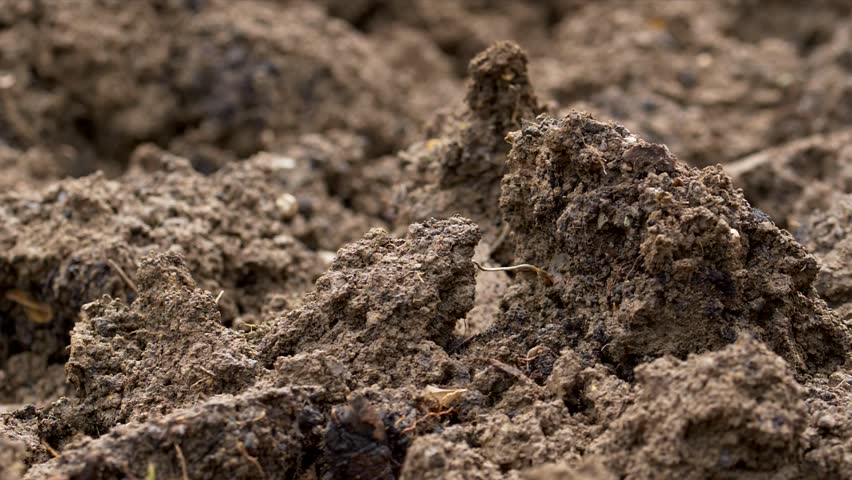 Garden soil in heavy rain Royalty-Free Stock Footage #33197176