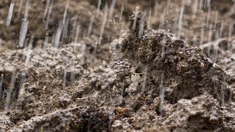 Garden soil in heavy rain