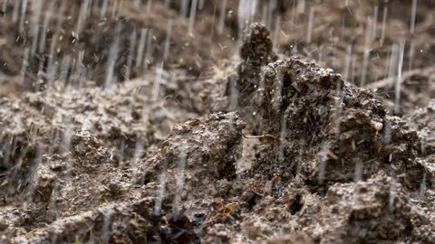 Garden soil in heavy rain