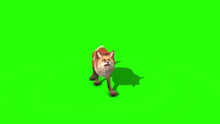 Green foxes проект