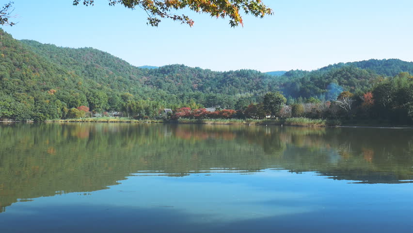 (Kyoto, Japan) Autumn landscape of a pond with white birds and colorful autumn leaves reflecting in the pond