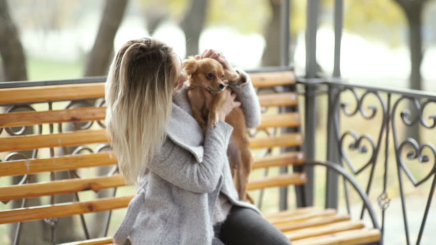 young beautiful Woman in the park with her funny long-haired chihuahua dog. Autumn background 
