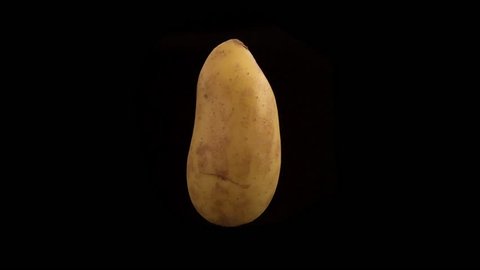 Organic potato to tasty chip animation