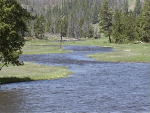high water level in Nez Perce creek meandering in valley of Yellowstone National Park