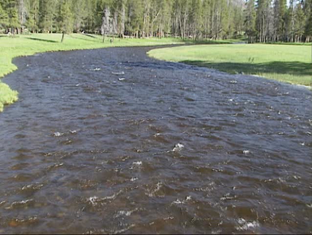 high water level in Firehole river in Yellowstone National Park