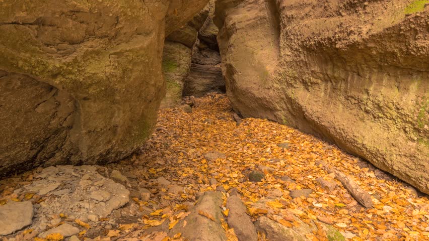 Canyon in the autumn period, bottom-up view 4K time lapse