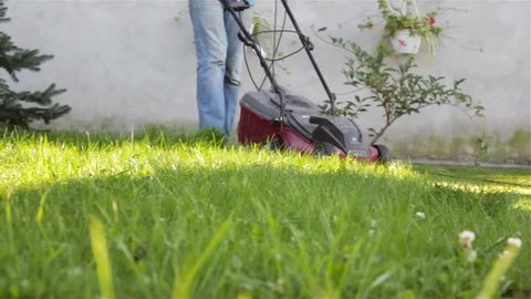 grass lawn mow,gardener mowing grass in the yard lawn mower
