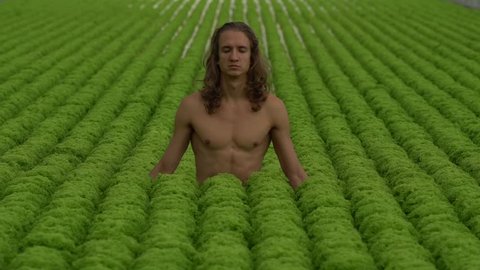 Young man with long hair does yoga in salad field (front view)
