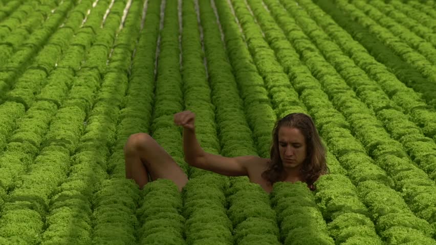 Young man with long hair lies in salad field eating salad. Be H3althy Royalty-Free Stock Footage #33241360