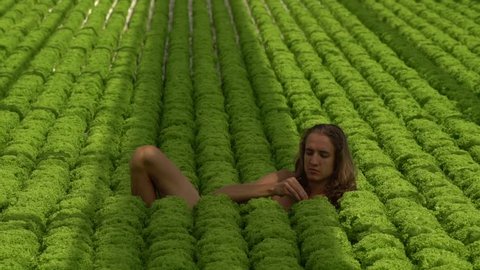 Young man with long hair lies in salad field eating salad