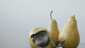 Group of organic pears close-up 4K 2160p UltraHD footage - Tasty fruit from genus Pyrus 3840X2160 UHD tilting video
