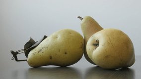 Close-up group of organic pears slow tilt 4K 2160p UltraHD footage - Tasty fruit from genus Pyrus 3840X2160 UHD tilting video