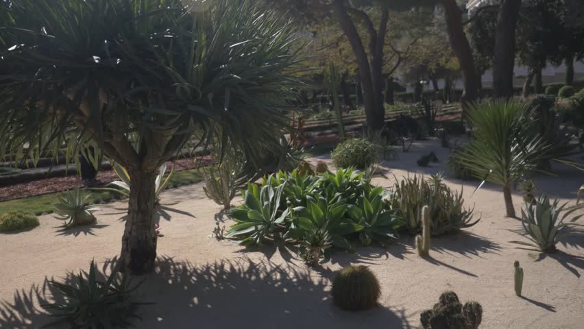 View of cactus trees and other beautiful plants at the bahai gardens of israel