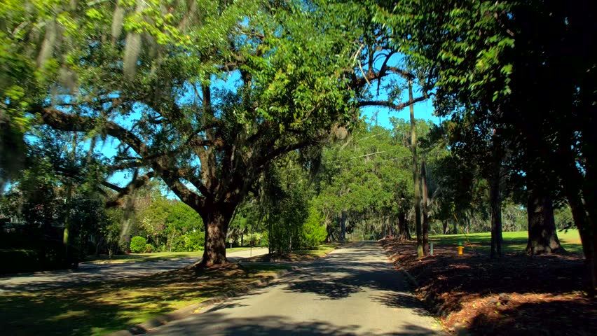 Ground motion shot Tallahassee Golf Terrace Drive 4k