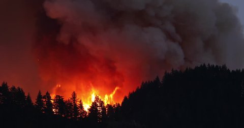Large forest fire burns the tree covered side of a mountain near Portland Oregon