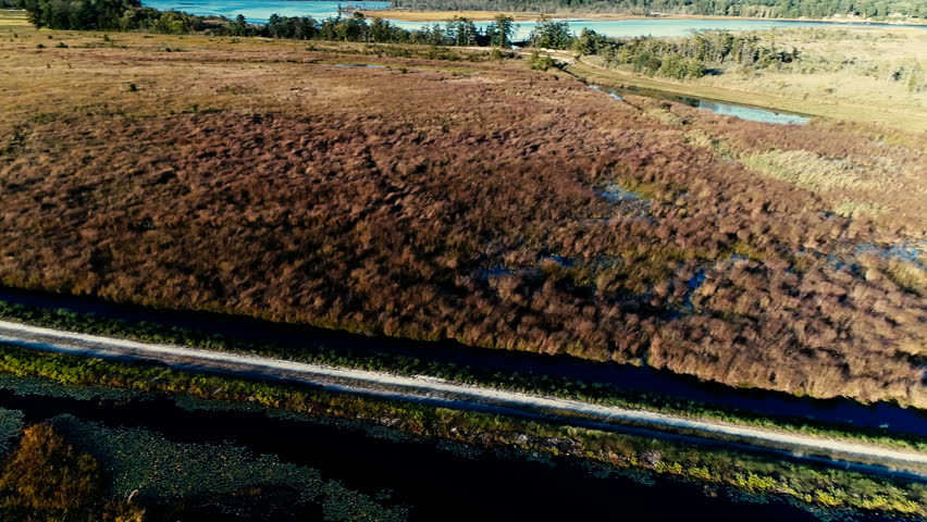 Aerial Drone Dirt Road alongside old abandoned Cranberry Bog in Southern New jersey on a beautiful summer day